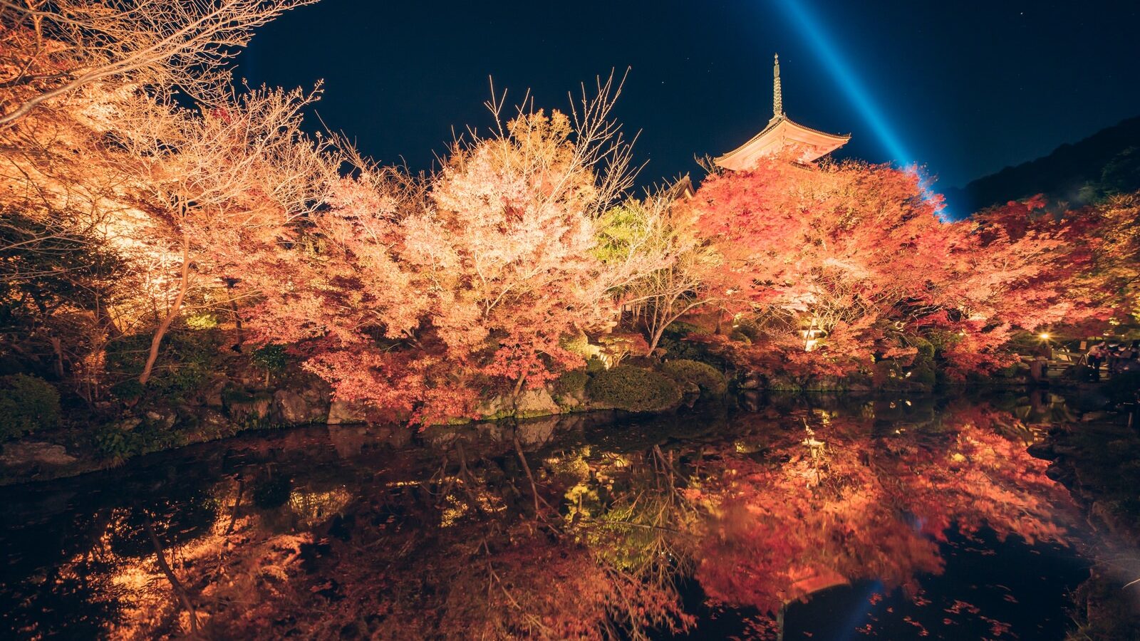 【奈良県紅葉特集2025】ライトアップスポットと昼の名所を巡ろう